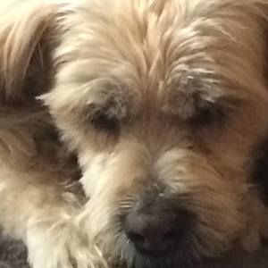 Meet your Posher, Marilyn